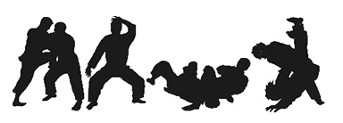silhouette of jiu jitsu practioners